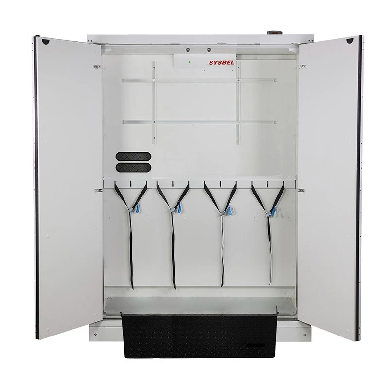 EN 14470-2 30-Minute Protection Fire-Resistant Gas Cylinder Storage Cabinet For 4 Cylinders best